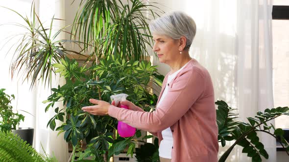 Happy Senior Woman Spraying Houseplants at Home