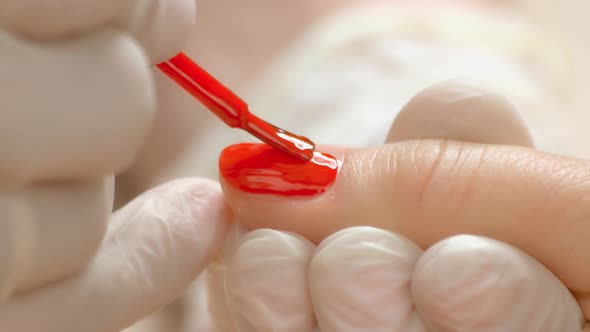 Manicurist Accurately Applying Varnish on Nail.