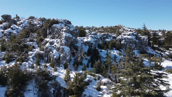 Through Snowy Hill