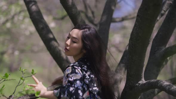 Gorgeous Confident Sensual Asian Woman Dancing at Tree in Sunny Spring Summer Park and Looking at