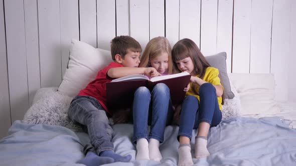 Education, Smart Kids in Multicolor Clothes Learn To Read at Home Sitting on Couch