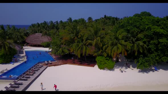 Aerial drone view landscape of luxury tourist beach wildlife by clear water and white sandy backgrou