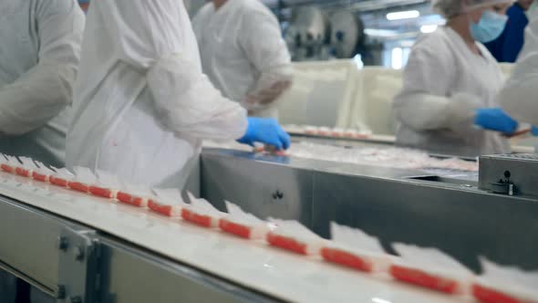 Relocation Process of Crab Sticks Held at the Factory By Factory Workers.