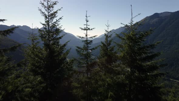 Forest Tree Aerial Reveal Of Interstate 90 Freeway In Mountain Valley