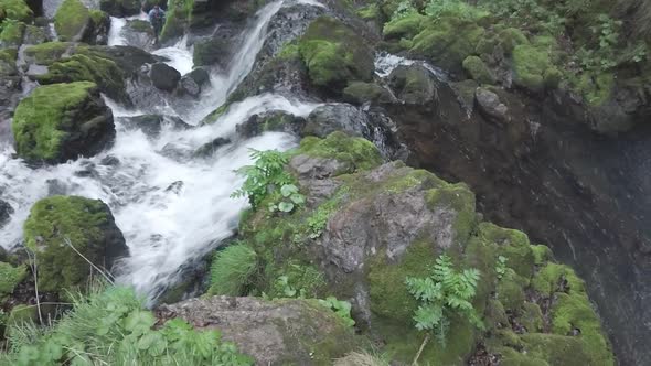 Water Jumps In Mountain Stream