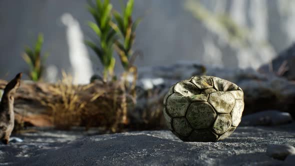 An Old Torn Soccer Ball Thrown Lies on Sand of Sea Beach alt