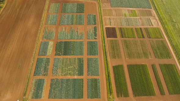 Aerial View of Farmland