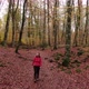 Hiker Woman Walking Through the Forest in Autumn - VideoHive Item for Sale