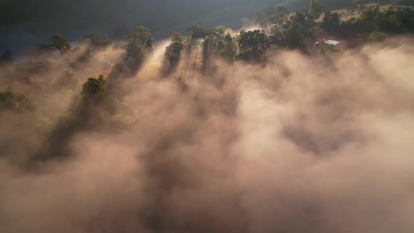 4K Aerial video, The sun's rays over the sea of mist in the morning