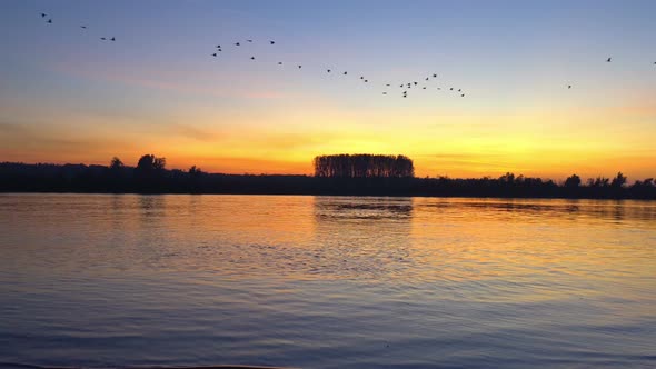 Migratory Birds Flying In The Shape Of V On The Cloudy Sunset Sky 