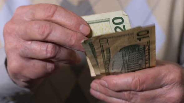 Poor Male Pensioner Counting Dollar Bills in Hands, Economic Crisis, Bankruptcy