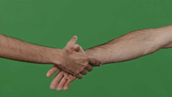 Closeup in Studio on Green Background Part of Human Body Two Young Men Shake Hands Greet Friendly