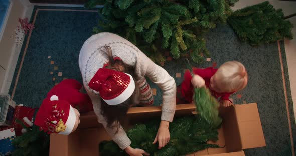 Playful Happy Family Together Preparing Christmas Tree Getting Out It From Box