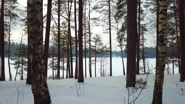 Winter Lake Streshno 01