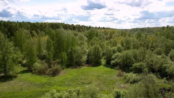 Endless Green Forest Surrounds Small Meadow Aerial View