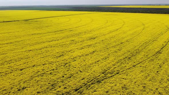 Aerial view drone. Beautiful idyllic nature aerial forward motion view over agricultural countryside