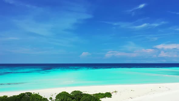 Aerial drone shot texture of perfect island beach wildlife by blue lagoon with white sand background