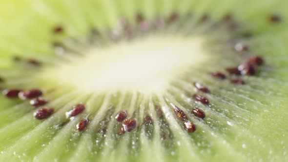 Kiwi Slice Close Up