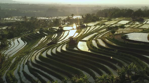 Aerial video in an amazing landscape rice field on Jatiluwih Rice Terraces, Bali, Indonesia