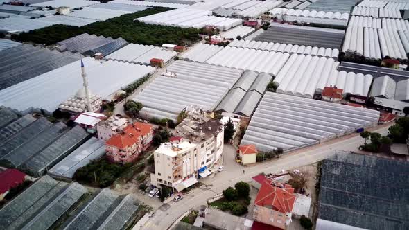 High angle drone aerial view of greenhouse fields of greens plantation in Demre, Turkey