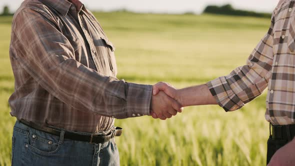 Two Farmers are Meeting and Shaking Hands