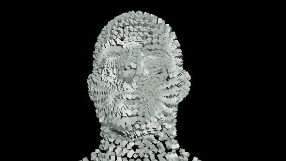 Human Head from Rotating Cubes