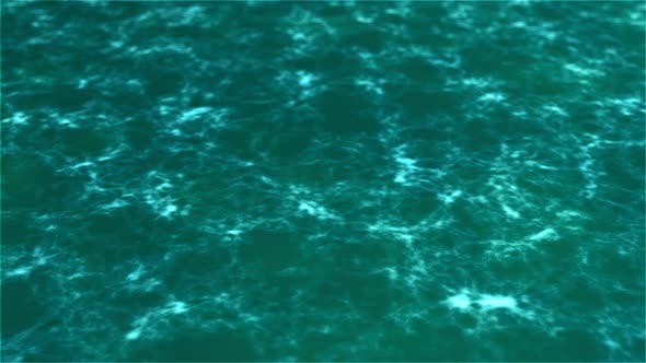 Water Surface