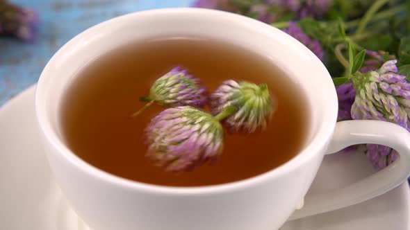 Brewing a tisanes from red clover in a white cup. Composition on vintage light blue wooden tabletop 