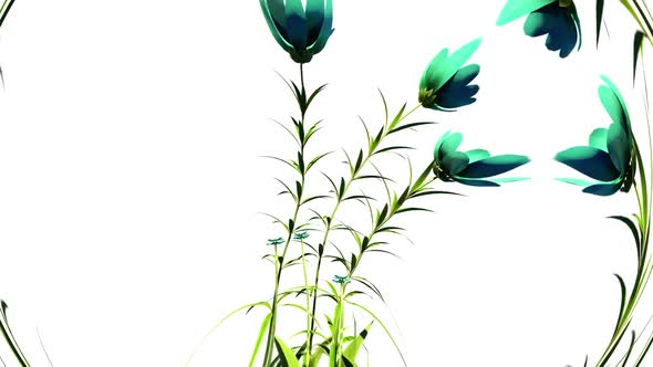 Wild Flowers Botanical Floral 3D Rendering