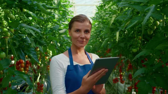 Botanical Scientist Doing Research Tablet Cultivation Tomatoes in Greenhouse