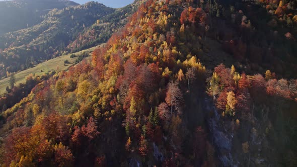 Drone Flight Over Klammsee Reservoir And Autumn Trees