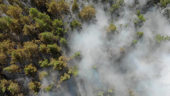 Epic Aerial View of Smoking Wild Fire