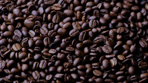 Coffee Beans Rotate Slowly