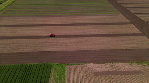 Agricultural Red Small Tractor in the Field Plowing Works in the Field