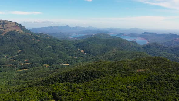 Mountain Slopes Covered with Rainforest and Jungle