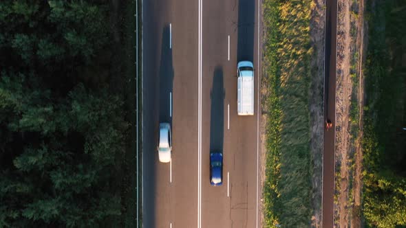 Top view of highway road with passing cars and the bike path in the forest