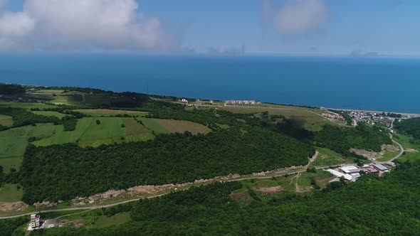 Clouds Sea And Forest Aerial View