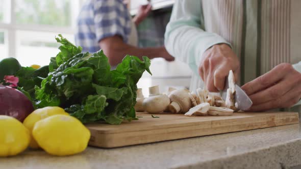 Mid section of senior caucasian woman at home in the kitchen wearing an apron and chopping vegetable