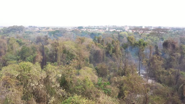 Burnt vegetation near city of Campinas, Brazil