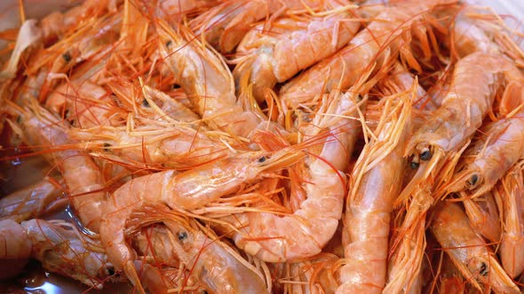 Fresh Shrimps Are Sold in an Open Store Window on the Street Market. Egypt