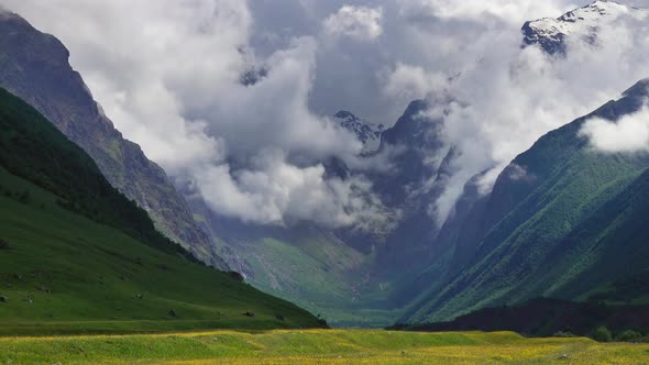 Wildflower Meadow and Mountains