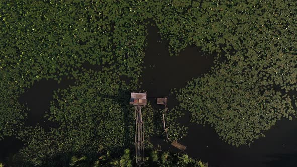 Top View of the Svisloch River in the City's Loshitsa Park with Lilies at sunset.Beautiful Nature of