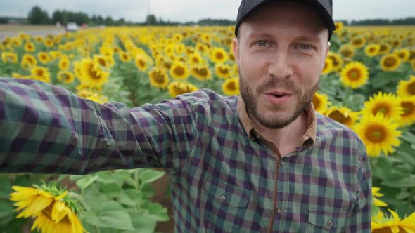 Countryside Man Farmer Walks Through a Field of Sunflowers and Takes a Video of Himself the Video