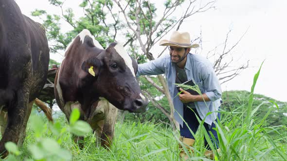 Attractive Caucasian male dairy farmer working alone outdoors in farm.