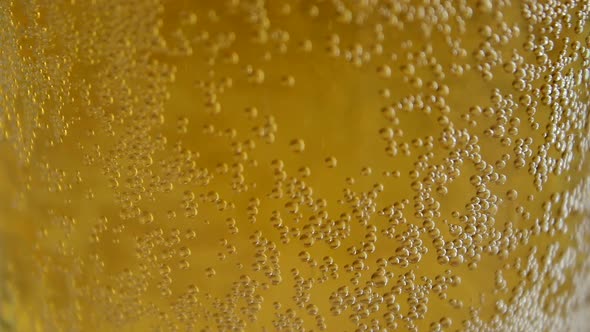 Fresh cold beer drink with bubbles and foam.  Pint of beer beverage ready for appetizer. Close up.