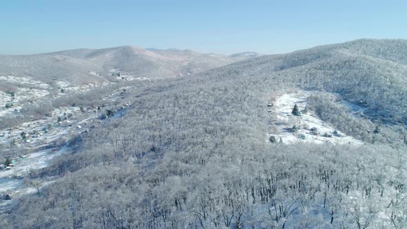 Aerial View on Winter Ice Covered Trees and Snowy Mountains