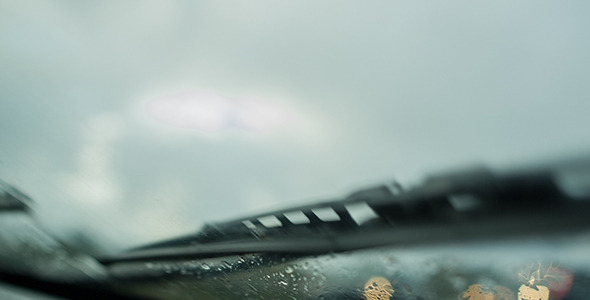 Raindrops on the Windshield