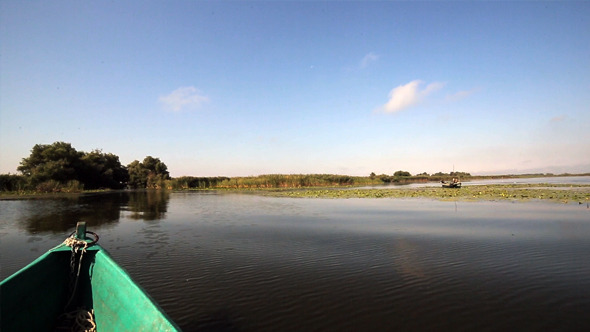 Riding the Boat in Danube Delta