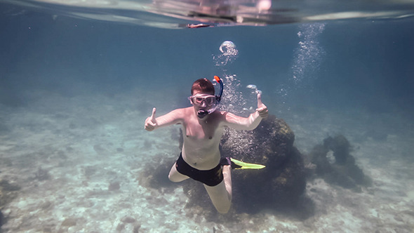 Snorkeler Diving