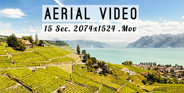 Wine Plantations in Switzerland